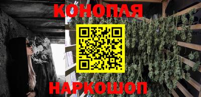 ешки Боровичи