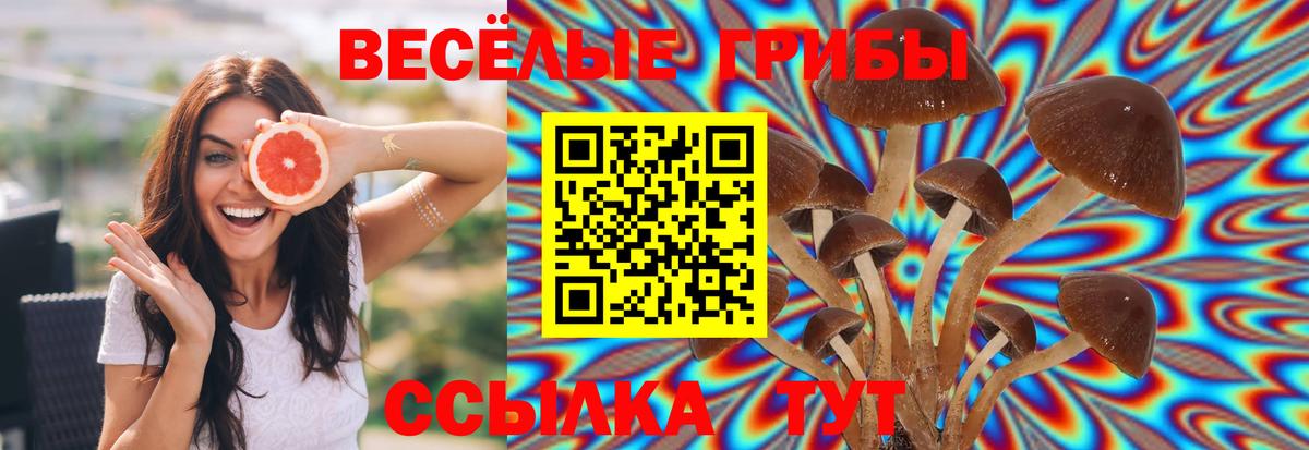 Псилоцибиновые грибы MAGIC MUSHROOMS  Вход с VPN  Касимов 